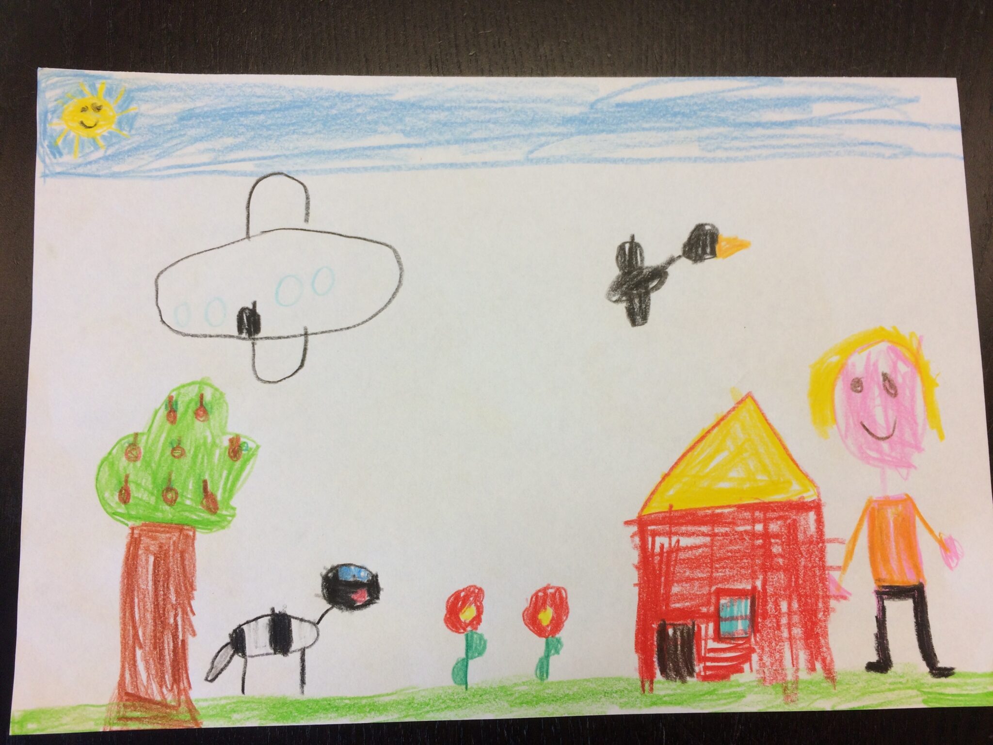 Kindertekening met zon, boom, UFO, vliegtuig, bij, bloemen, rood huis en een meisje — een typisch voorbeeld van wat kinderen tekenen